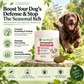 NutriPawz™ Advanced Dog Immunity Chews - Seasonal Allergy & All-In-One Health Support